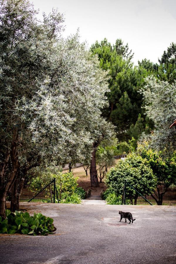 Casa Jone Villa Tomar Dış mekan fotoğraf